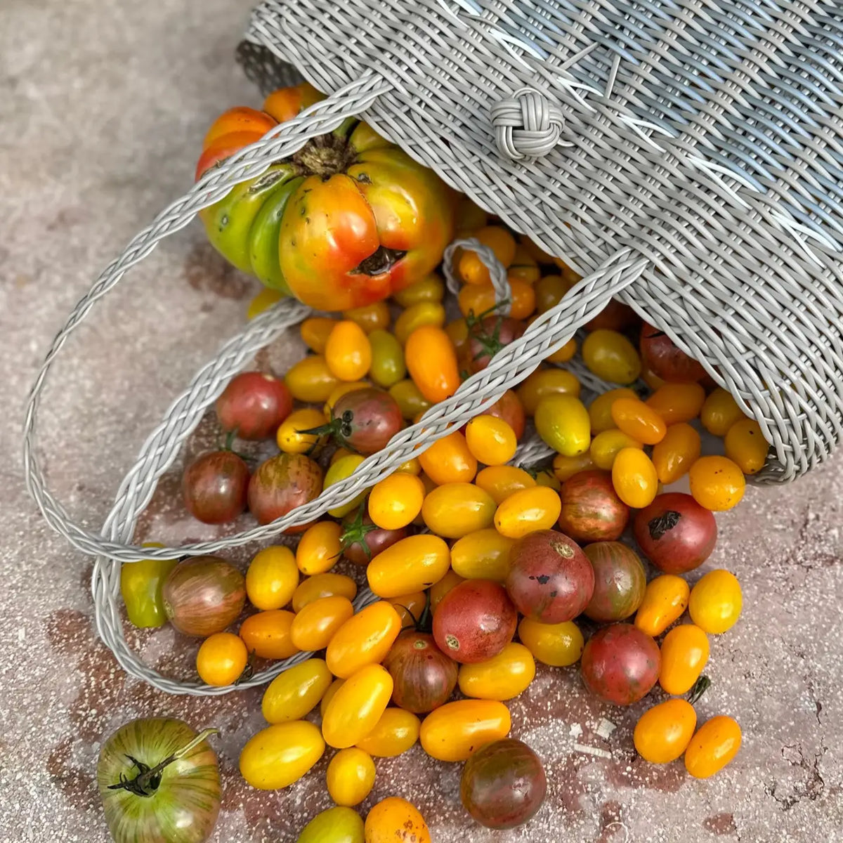 The Lilley Line Extra Small Tote - Guadalupe/Putty + Silver