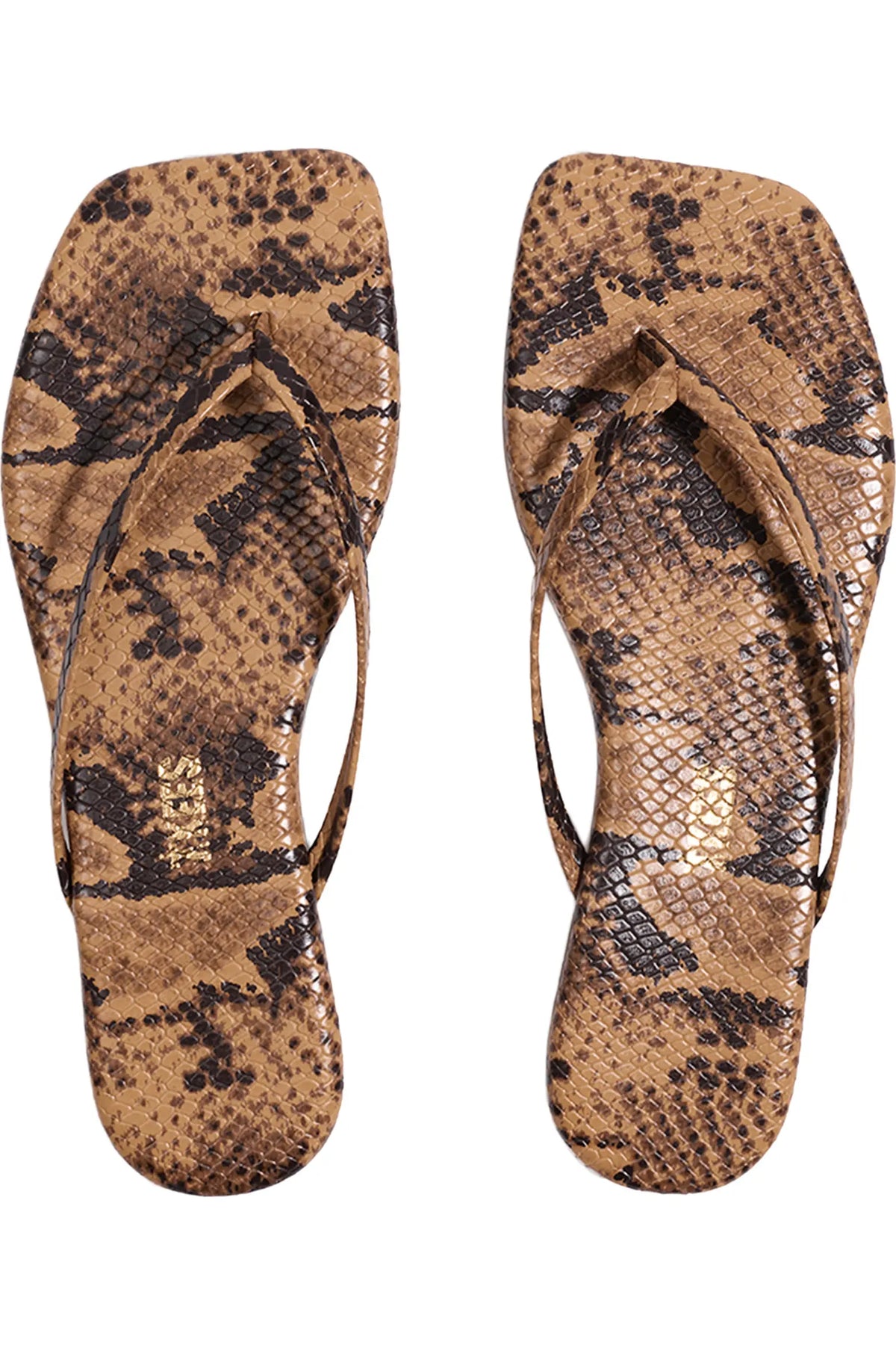 Tkees Lily Square Toe Exotics- Cocosnake