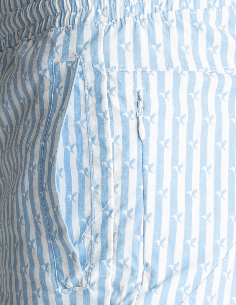 Birddogs Swim Short 6” - Blue & White