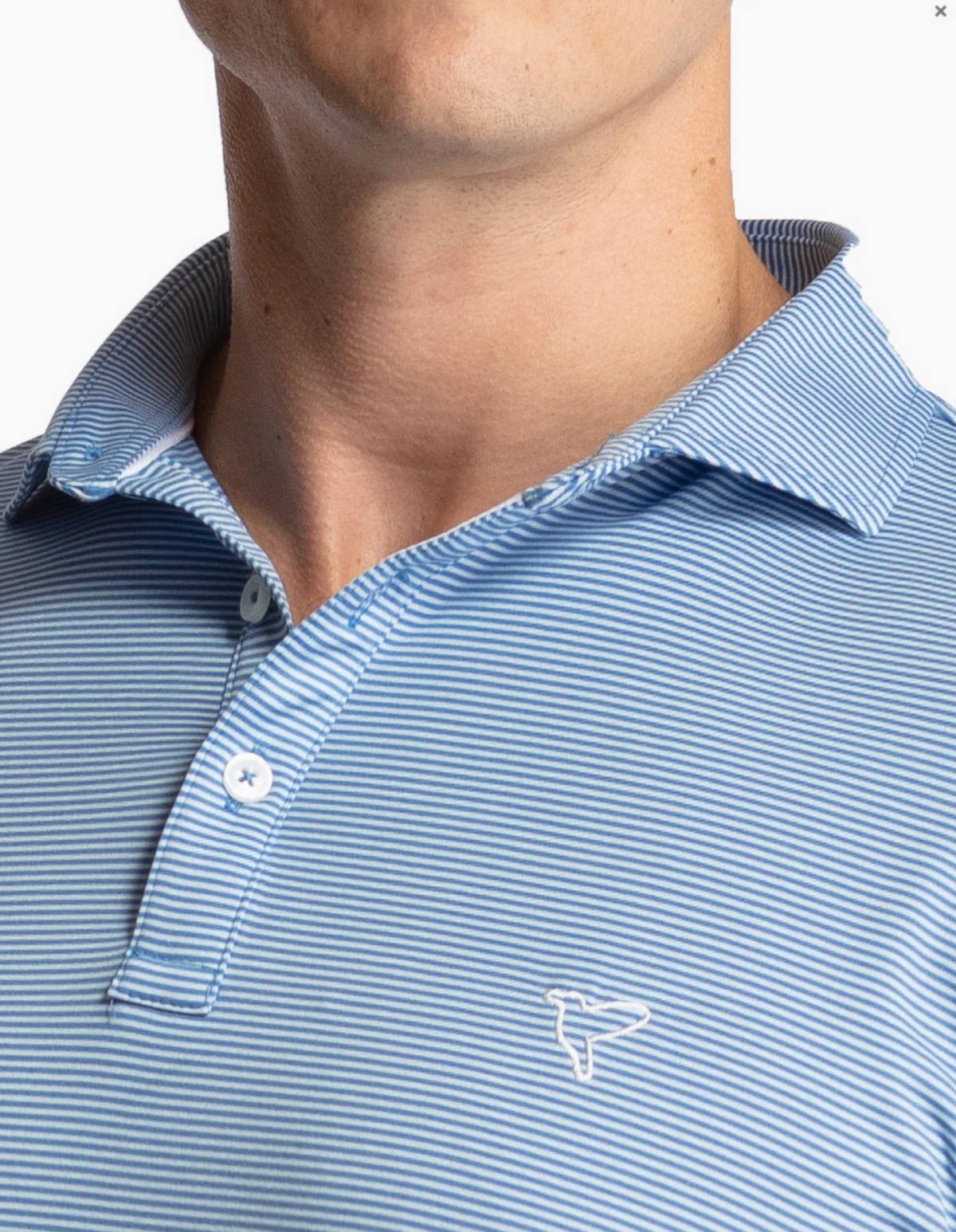 Birddogs Gary&#39;s Anatomy Polo - Blue Stripes