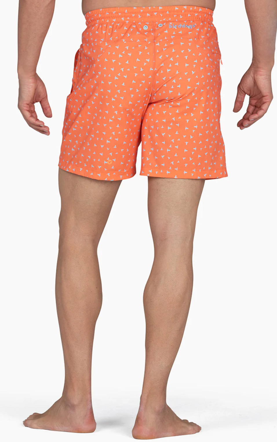 Birddogs Inner Banks Bathing Suit 7&quot; - Orange w/ Scattered Birds