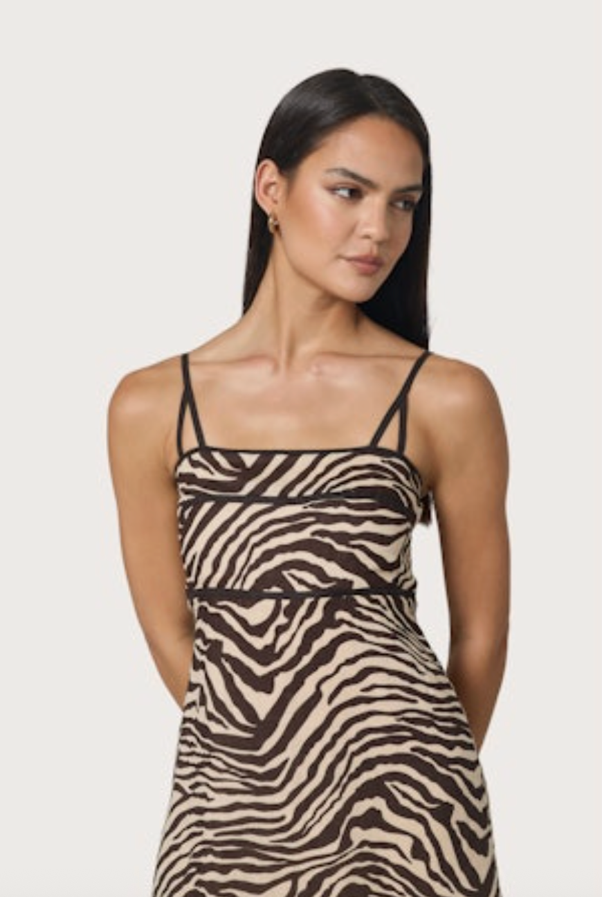 Lusana Candice Dress - Zebra