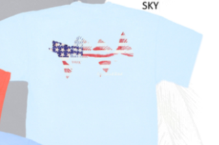 Coastal Cotton Short Sleeve Tee- Sky/ American Flag