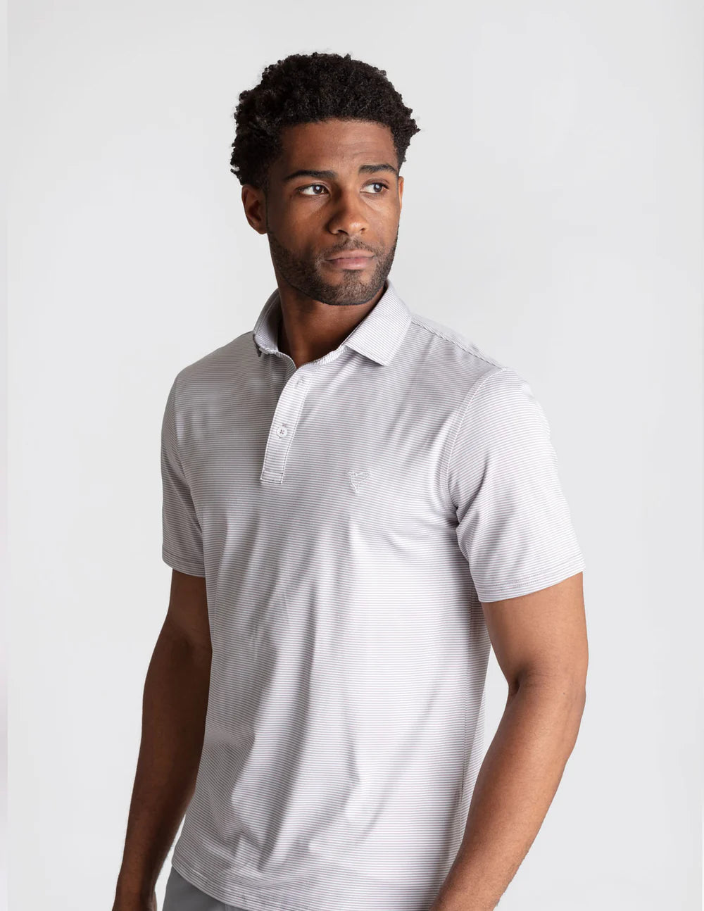 Birddogs Allen DeGeneres Polo - Grey Pencil Stripe